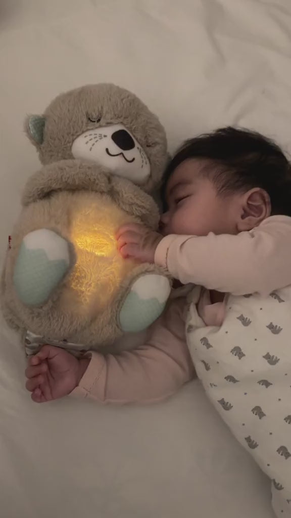 Load video: Breathing Teddy Bear