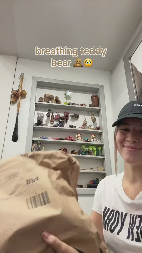 Load video: Breathing Teddy Bear