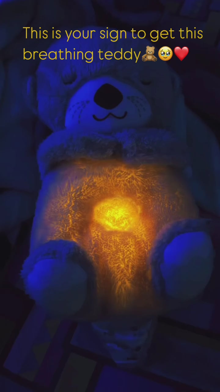 Load video: Breathing Teddy Bear