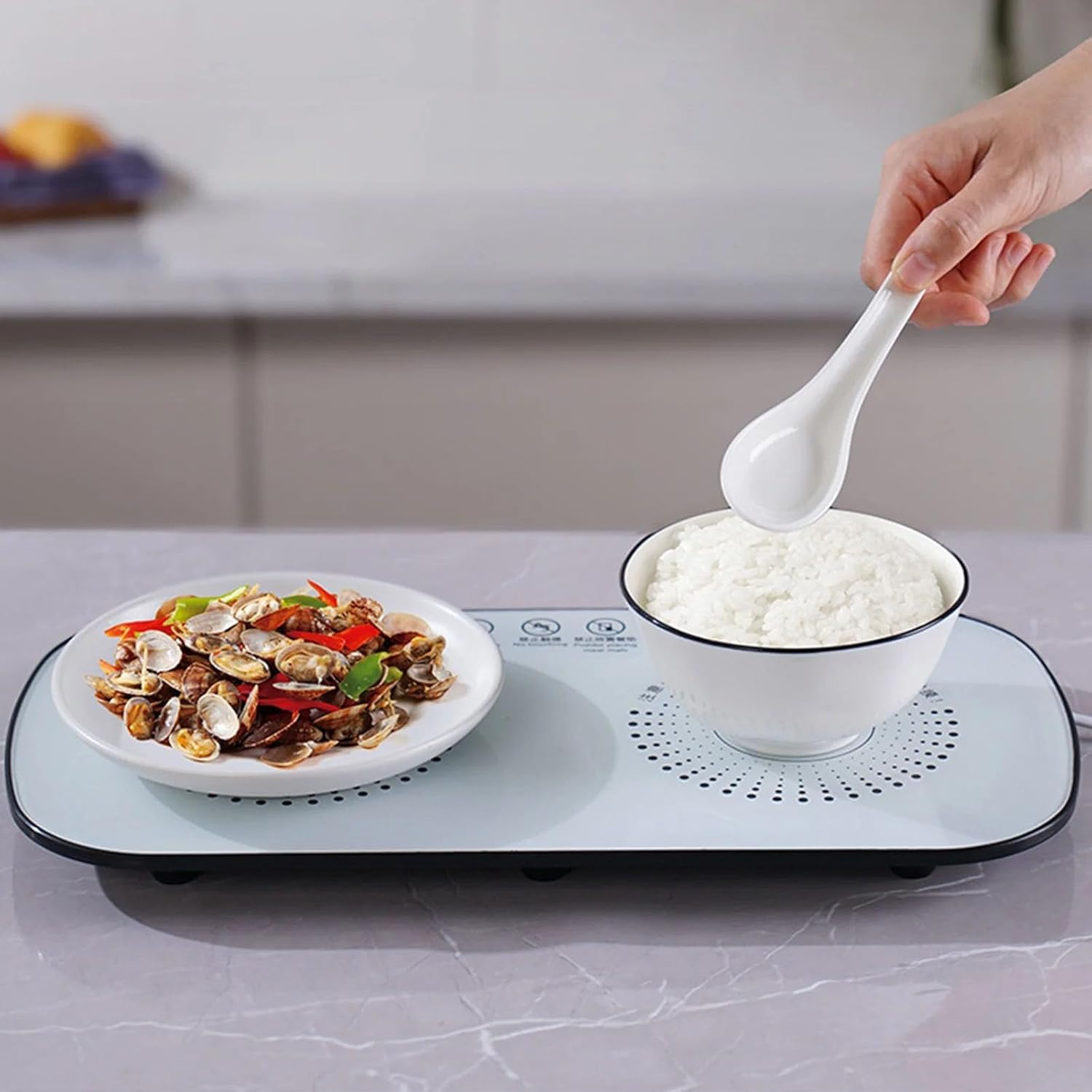 Food Heating Glass Tray